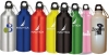 20 oz Aluminum Water Bottle w/Carabiner